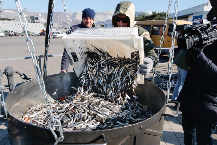 Когда в соседнем с Анапой городе начнется фестиваль хамсы