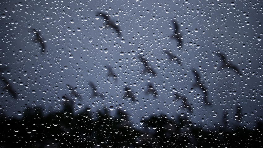 В пятницу, 19 января, в Анапе ожидается туман и дождь