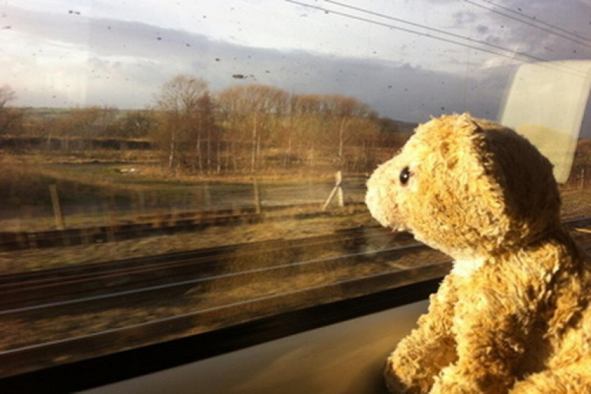 Анапчане смогут вернуть забытую в поезде вещь с помощью специального приложения