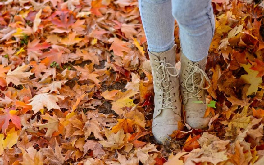 До 7 градусов тепла  и пасмурная погода ожидается в Анапе 26 ноября