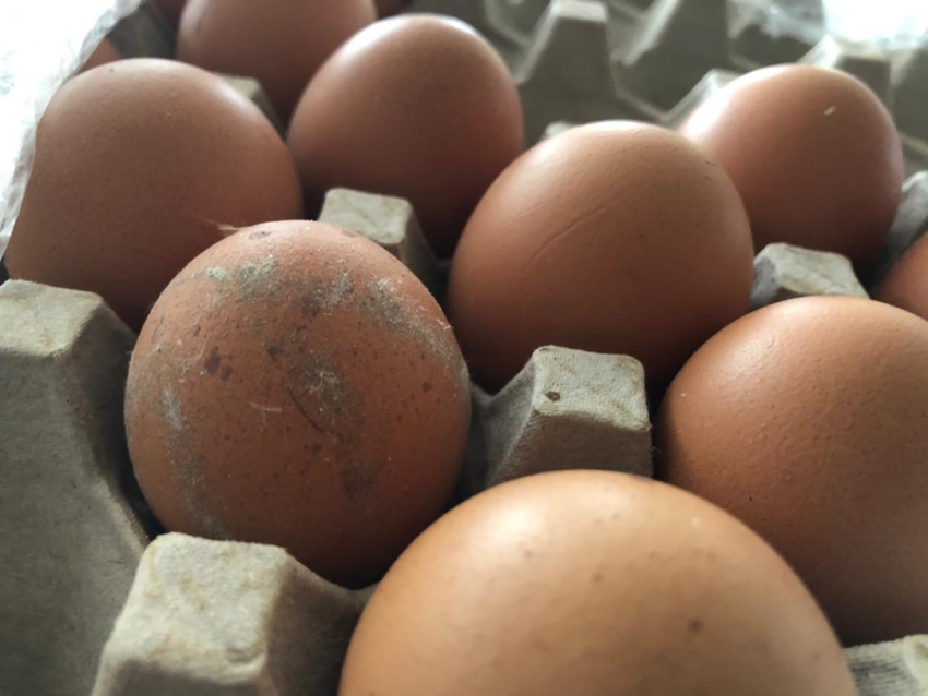 В магазинах Анапы запретят продавать зеленую картошку и яйца с грязной скорлупой