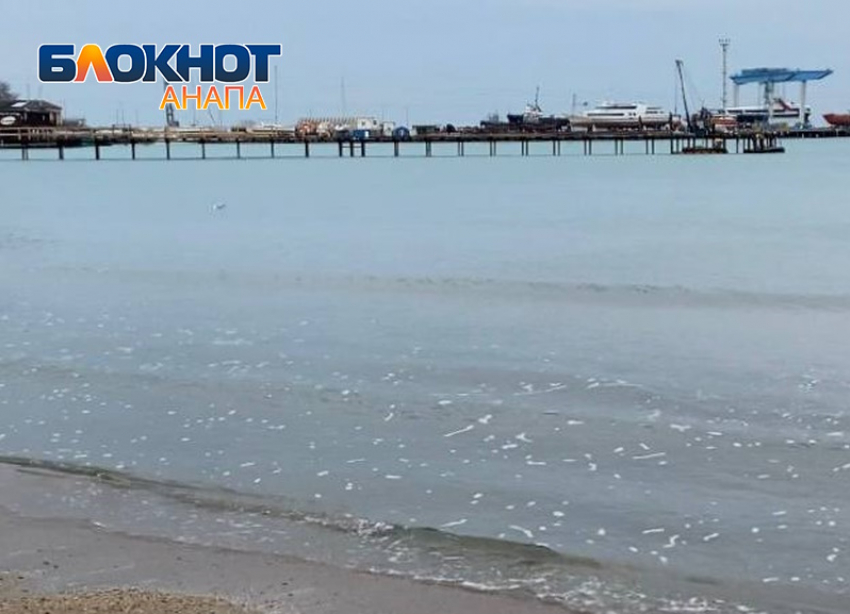 Солнце спрячется за облаками: в Анапе будет пасмурно