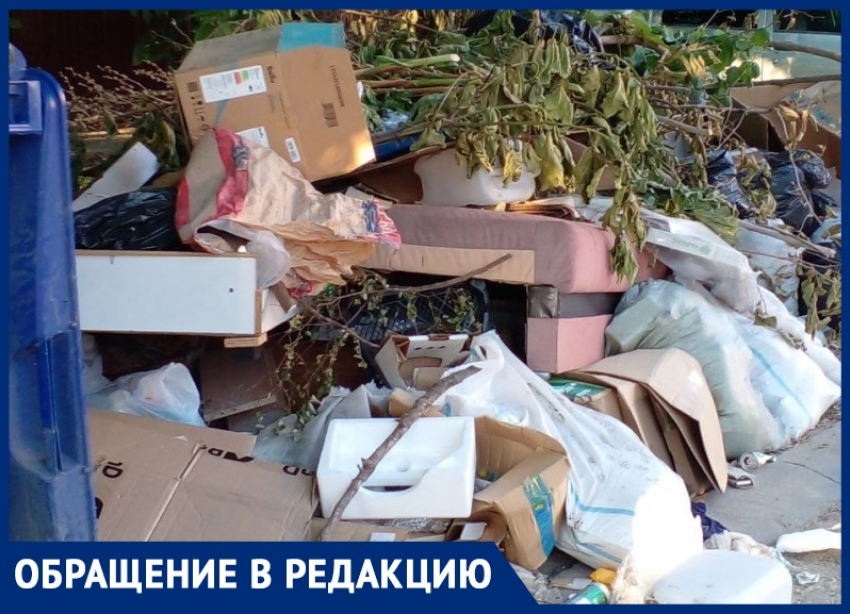 «Опасный рассадник грызунов»: анапчанка о свалке мусора на улице Ленинградской