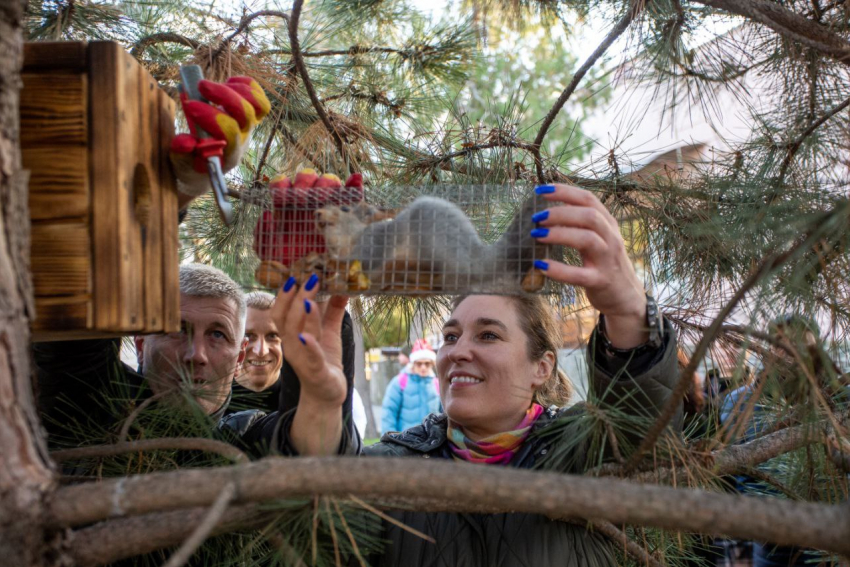 В сквере Гудовича Анапы поселили новых пушистых жителей - белок