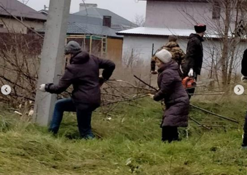 В Витязево под Анапой казаки и общественники очистили 500 метров лесополосы 