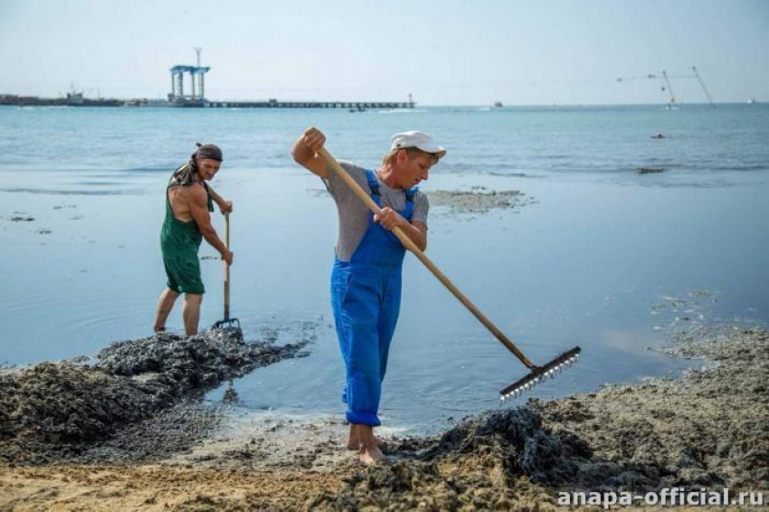 Через несколько дней в Анапе начнут избавляться от водорослей с помощью долгожданной уборочной машины