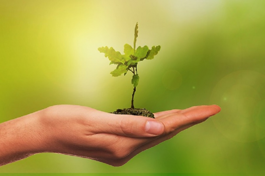 Во Всемирный день здоровья окружающей среды в Анапе облачно