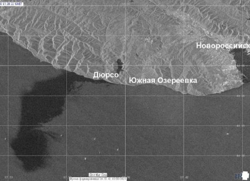 Стали известны истинные масштабы разлива нефти в Черном море между Новороссийском и Анапой 