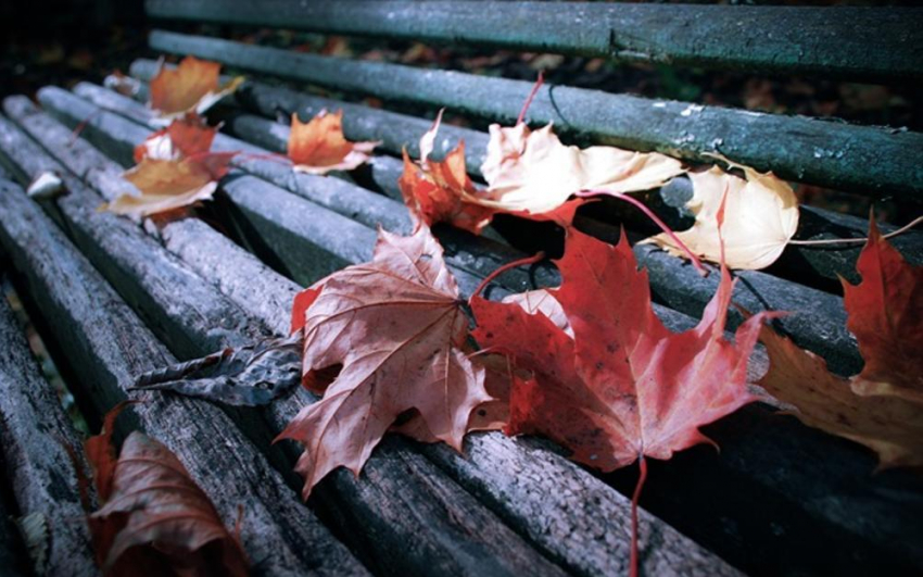 30 октября в Анапе начинается похолодание