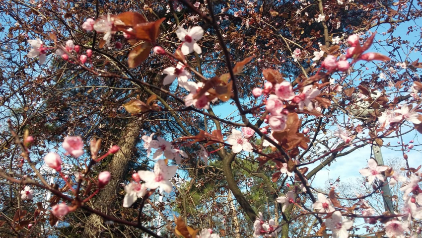 Суббота порадует анапчан тихой и тёплой погодой