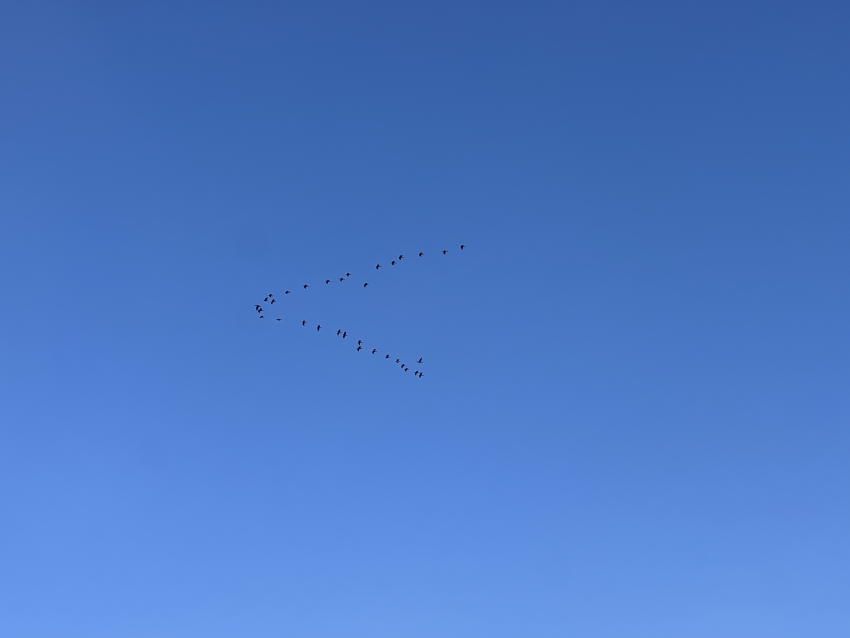 Гороскоп для анапчан на неделю: с 18 по 24 марта