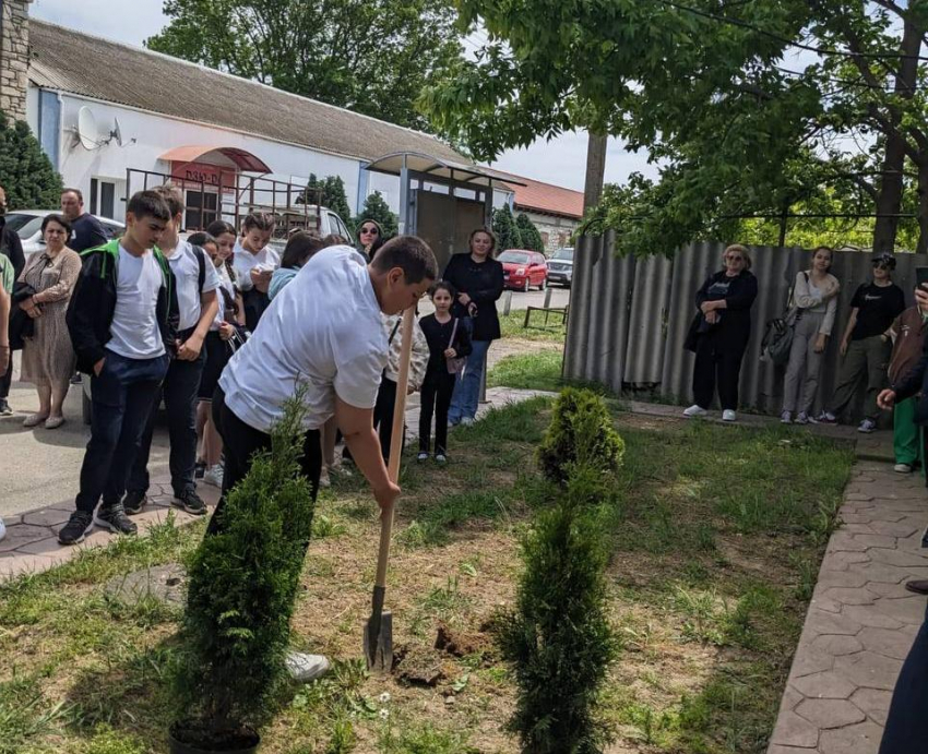 В честь памяти Анастаса Шембелиди в Витязево прошла высадка деревьев