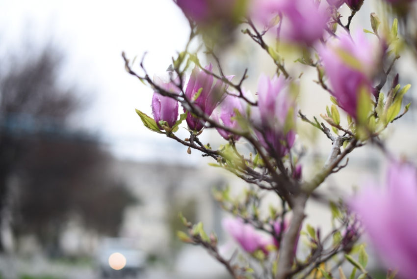 В день радио в Анапе ожидается очень сильный ветер 