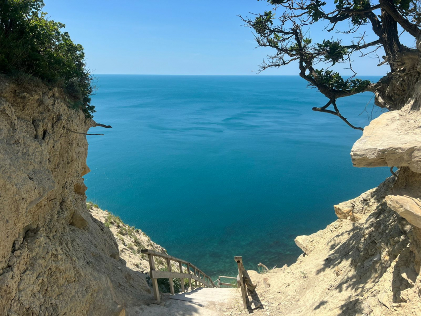 В День ветеринарного работника в Анапе солнечно