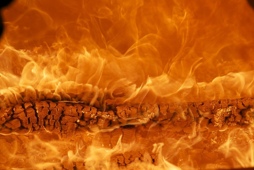 В Цибанобалке под Анапой произошел ужасный пожар: заживо сгорели 8 животных