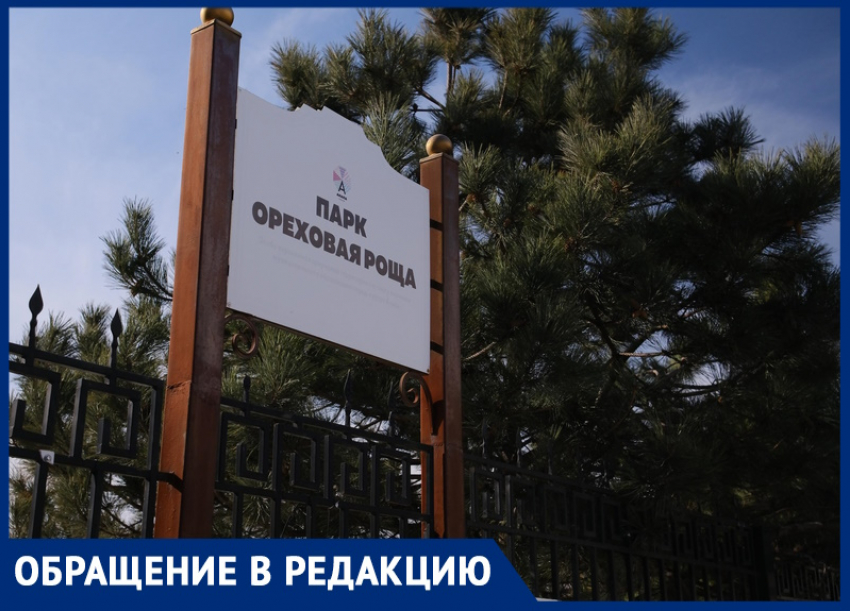 «Помогите привести парк в нормальное состояние»: анапчанка об «Ореховой роще» в Анапе 