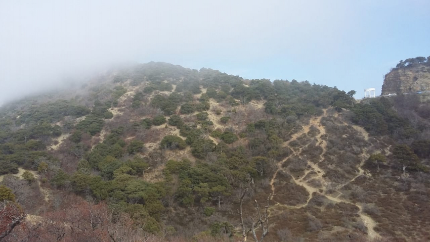 Новая рабочая неделя начнётся в Анапе с пасмурной и безветренной погоды