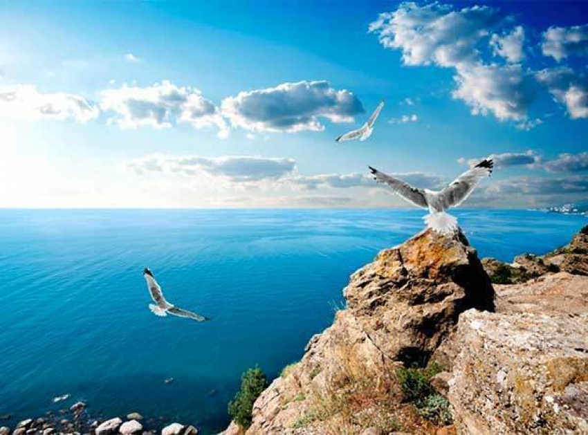 В Анапе пройдёт субботник ко Дню Чёрного моря