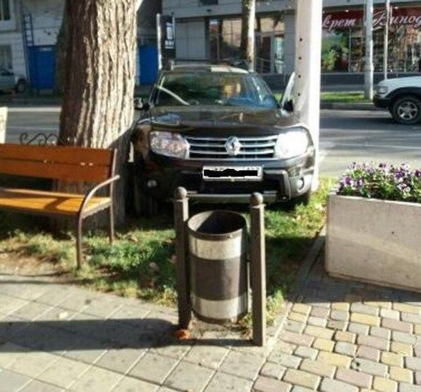 Фотофакт: анапский «мастер парковки» застрял между деревом и светофором