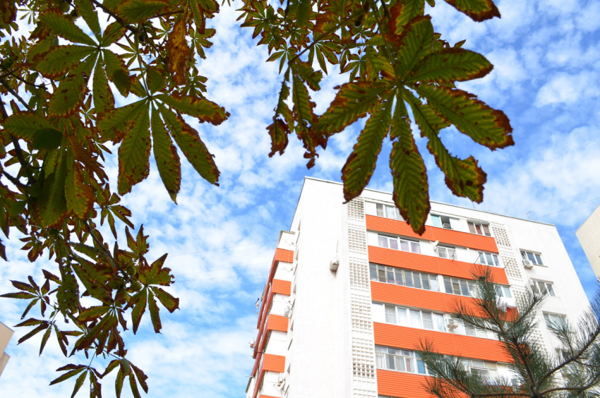 В субботу, 26 октября, в Анапе до +20 и солнечно