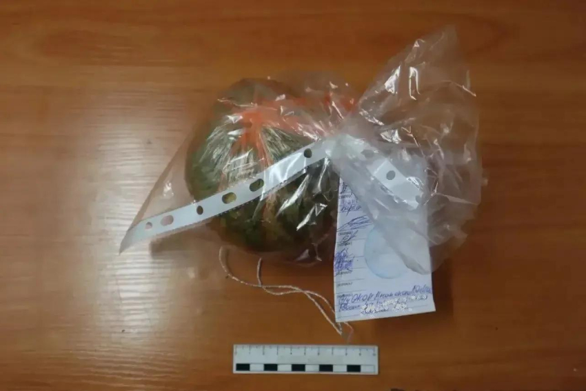 Полицейские нашли у жителя Анапы десятки граммов наркотика