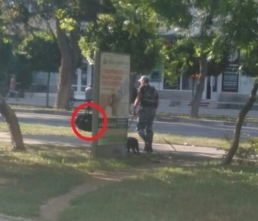 ﻿В центре Анапы кинологи «обезвредили» подозрительную сумку