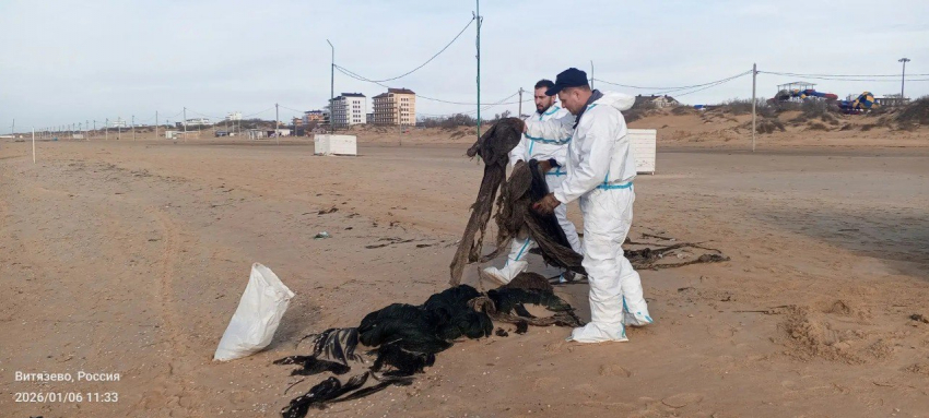 Появились новые данные мониторинга пляжей Анапы 