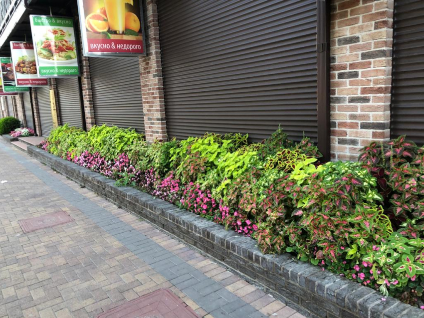 14 октября, в День Покрова Пресвятой Богородицы, в Анапе будет +24