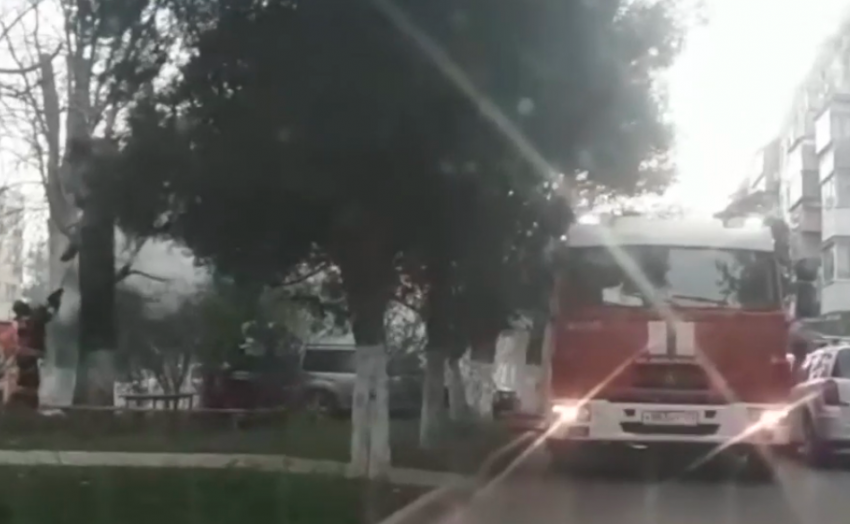 Анапчане сняли видео, как в Анапе на ул. Чехова подожгли сухое дерево