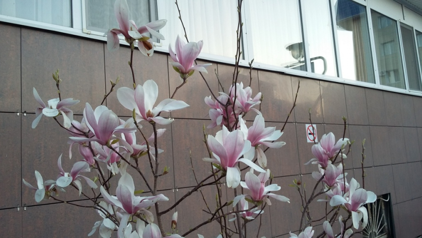 Гороскоп для анапчан с 3 по 9 октября: Скорпионы могут рассчитывать на поддержку влиятельных людей