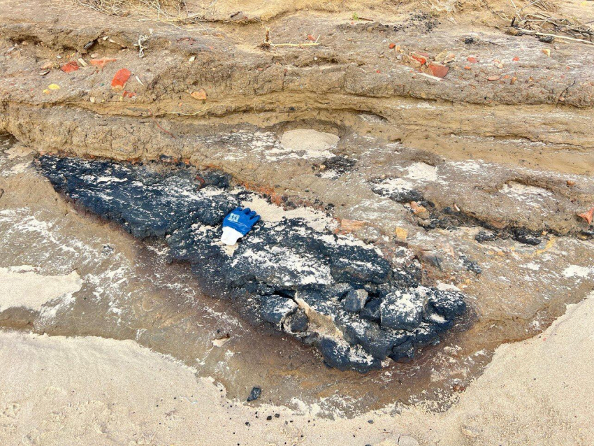 Волонтеры бьют тревогу: обнаружен апокалипсис у озера Солёное в Краснодарском крае