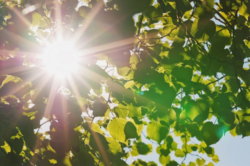 Сегодня, 21 сентября, в Анапе по-летнему солнечно и жарко