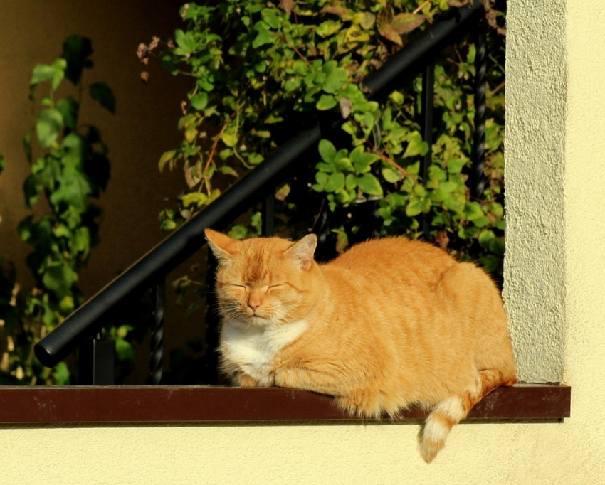 В воскресенье в Анапе немного потеплеет