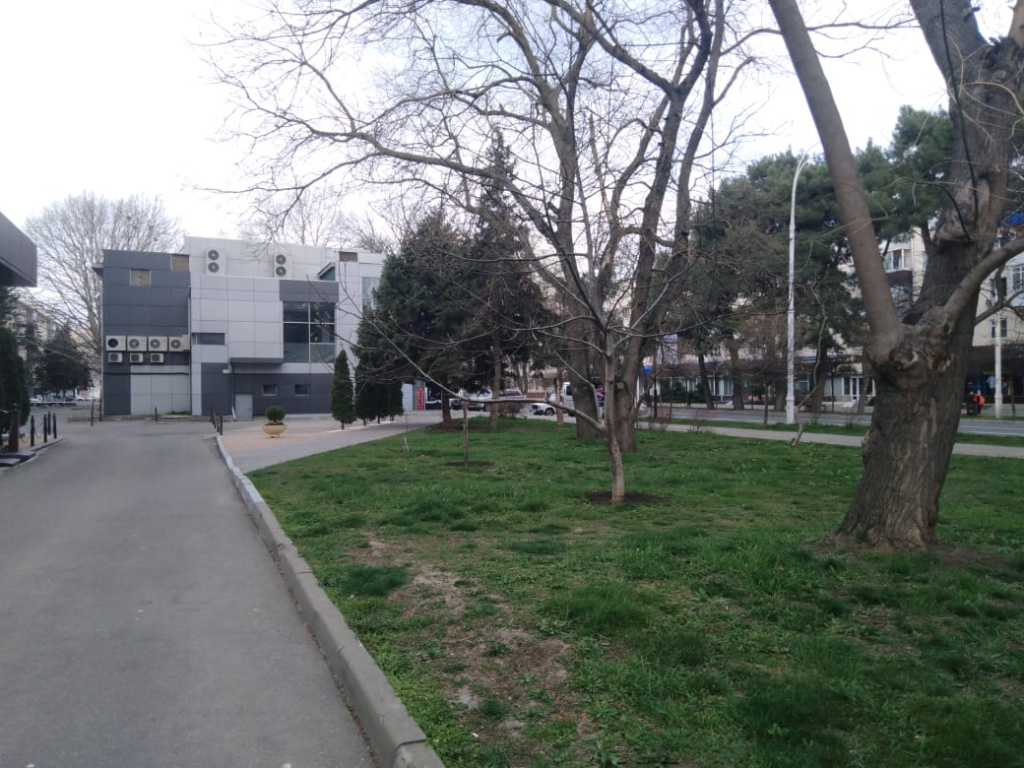 8d7c3216-5ec0-4767-a0d7-c7a173888125.jpg 8d7c3216-5ec0-4767-a0d7-c7a173888125.jpg