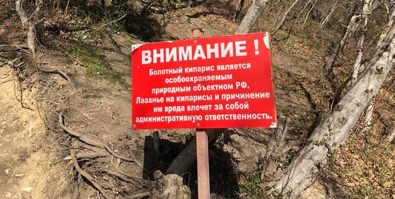 внимание.jpg