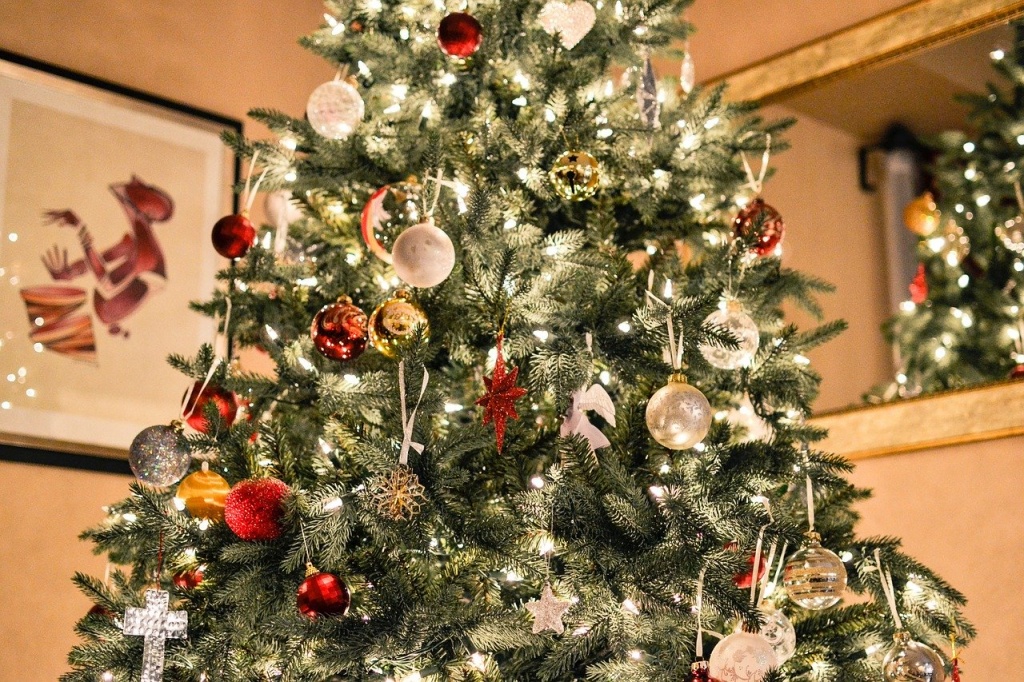 christmas-tree-1081981_1280.jpg