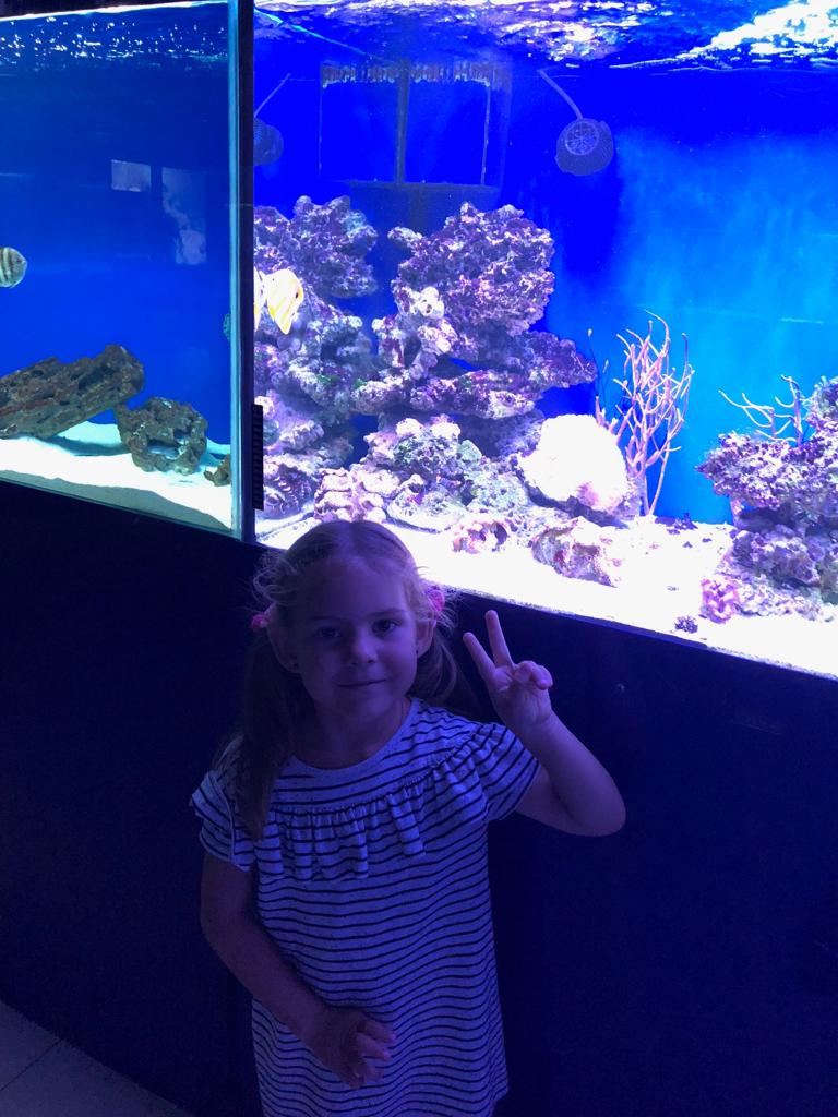 WhatsApp Image 2019-01-11 at 12.57.38.jpeg