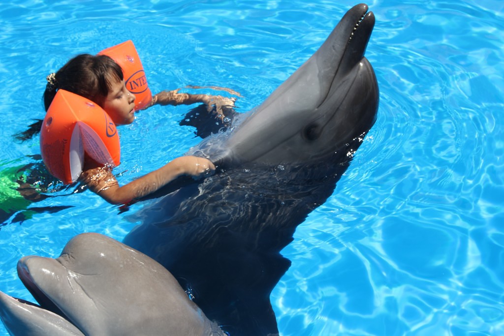 участники 25 (2).jpeg