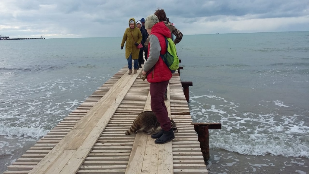 491a0702-db69-4b07-9c23-fab3af90baa9.jpg 491a0702-db69-4b07-9c23-fab3af90baa9.jpg