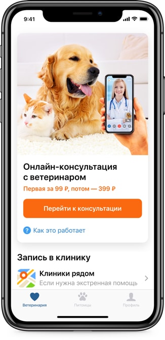 помощь домашнему питомцу онлайн