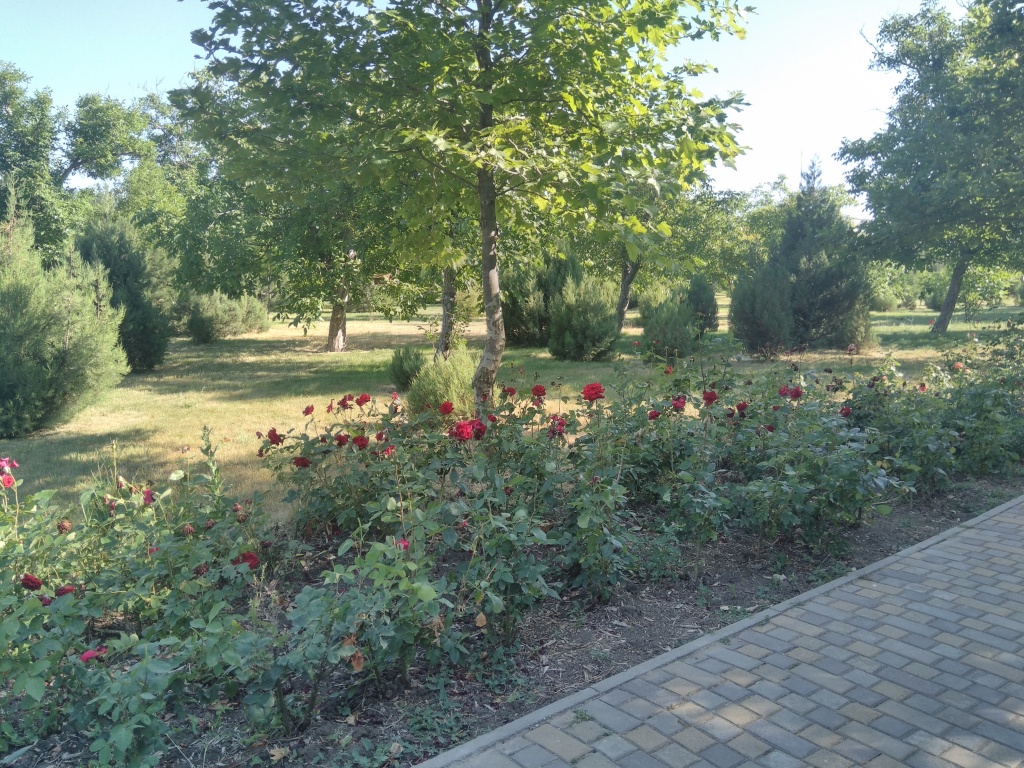 IMG_20180619_170748.jpg