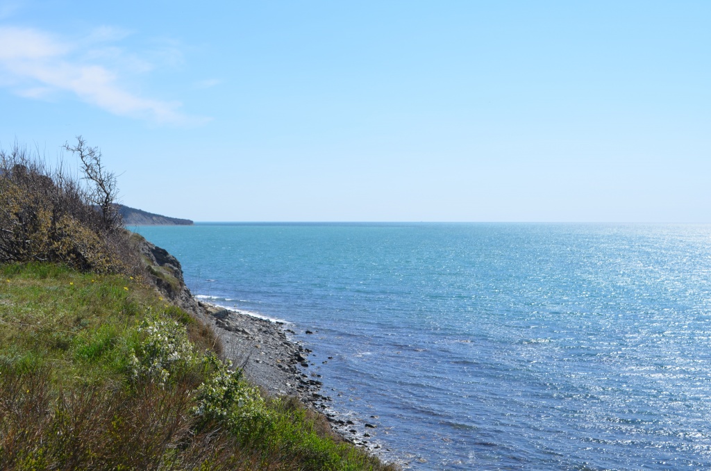 DSC_0624.JPG DSC_0624.JPG