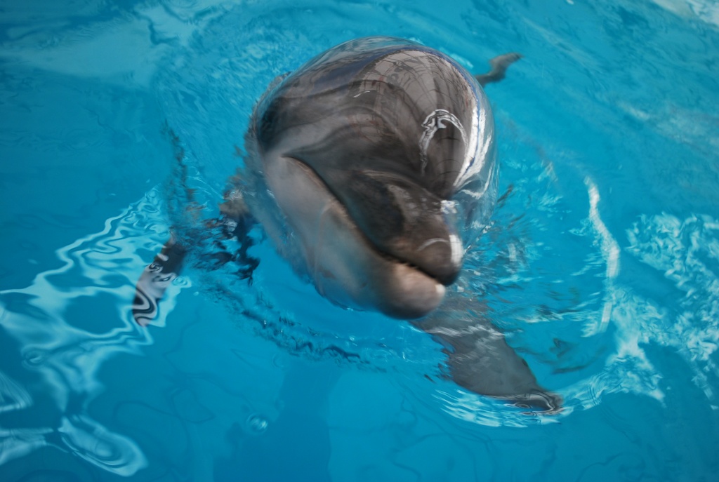 DSC_0054.JPG DSC_0054.JPG