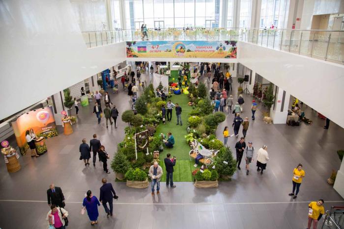 выставка.jpg выставка.jpg