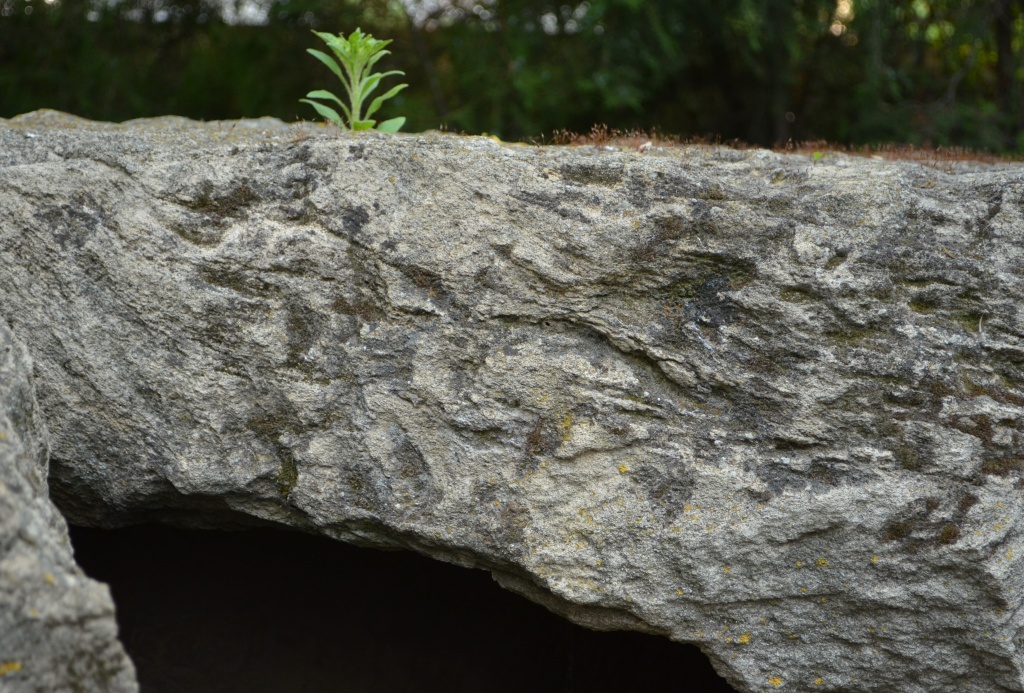 DSC_0031.jpg DSC_0031.jpg
