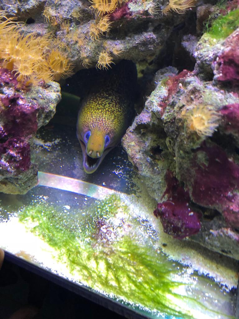 WhatsApp Image 2019-01-11 at 12.57.37(1).jpeg