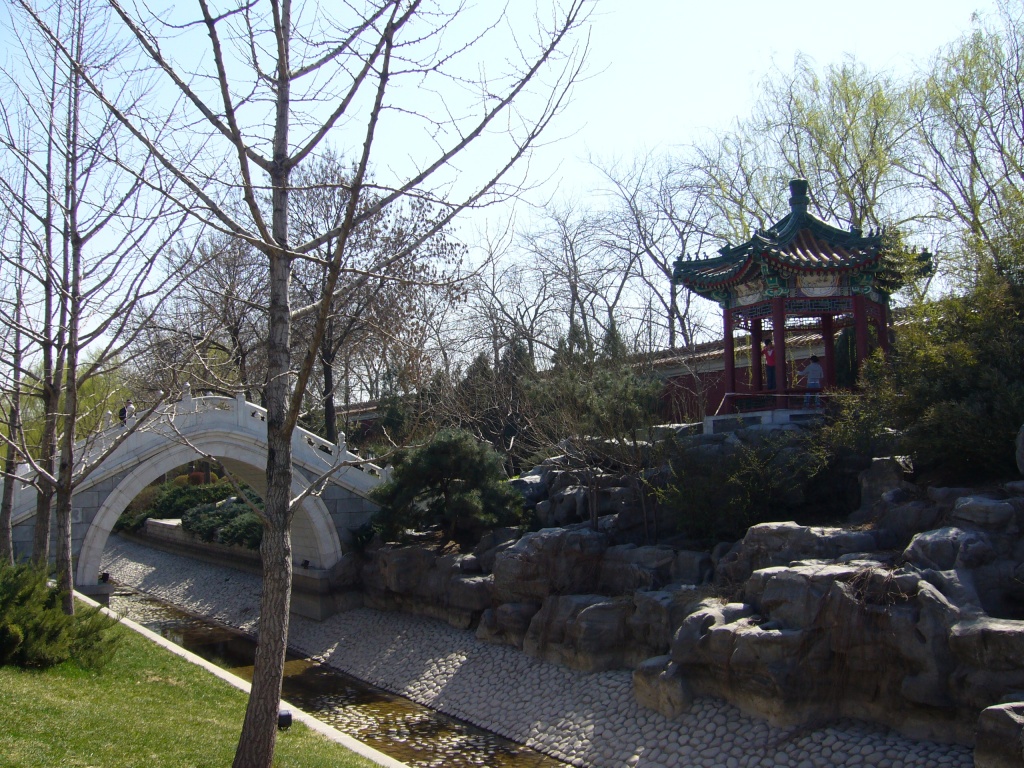 P1000576.JPG