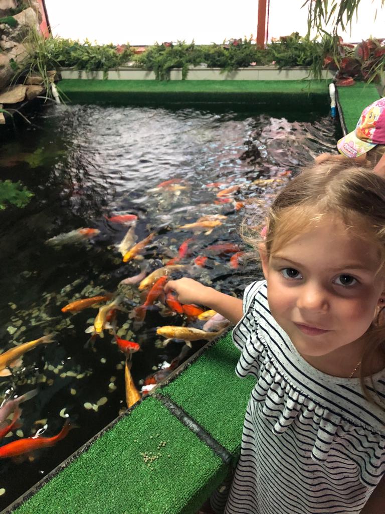 WhatsApp Image 2019-01-11 at 12.57.37.jpeg