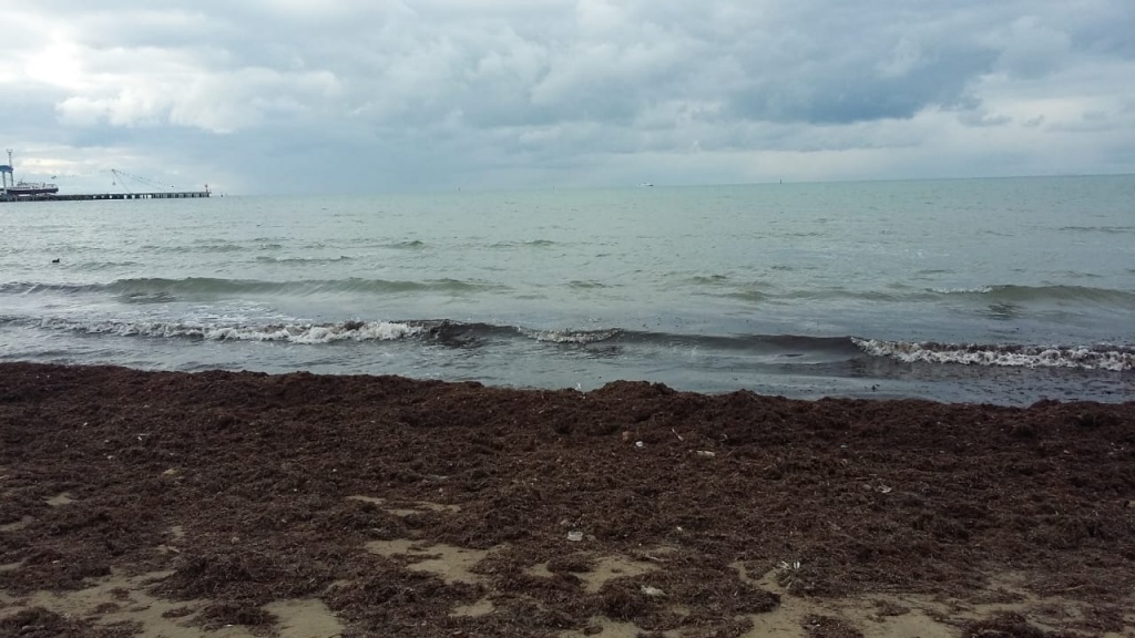 a333b2c5-73b8-47a3-8145-ae1c92763eb5.jpg a333b2c5-73b8-47a3-8145-ae1c92763eb5.jpg