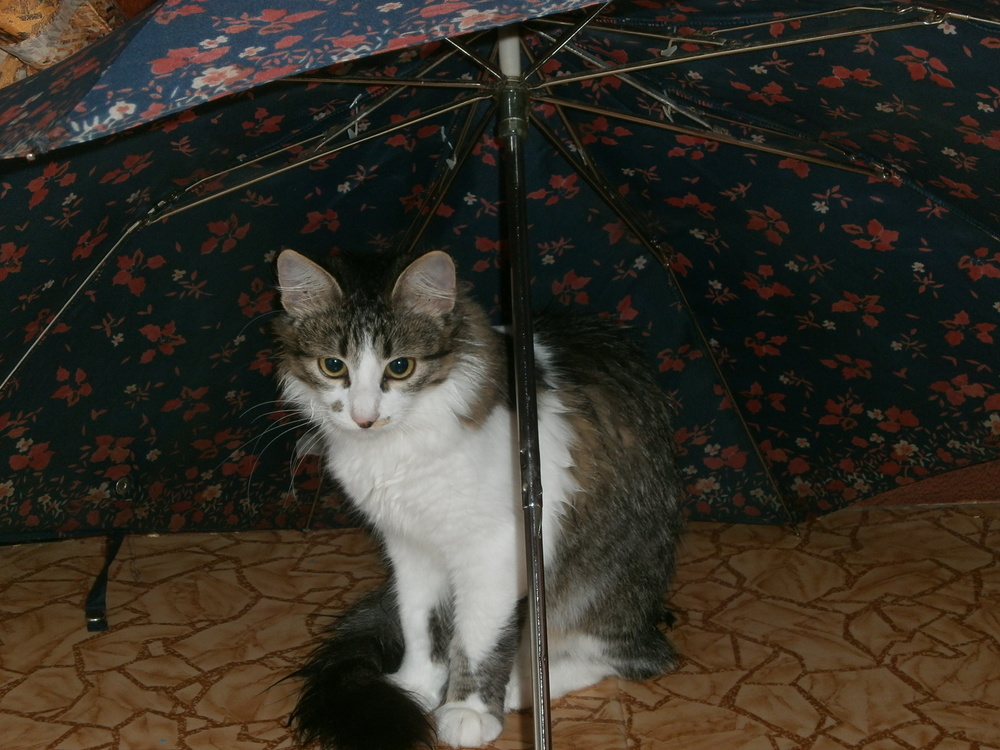 pa050513.jpg